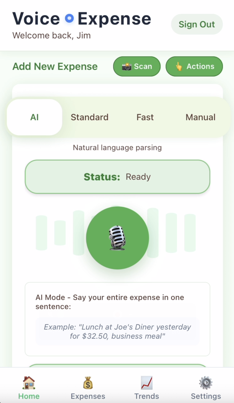Voice expense tracking app